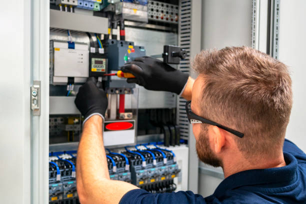Best Electric Panel Repair  in Paonia, CO