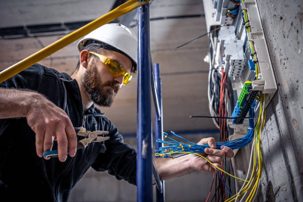 Best Local Electrician Companies  in Paonia, CO